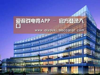 案例展示五