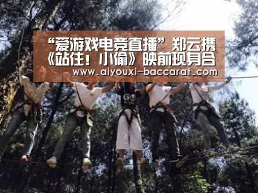 爱游戏电竞直播
