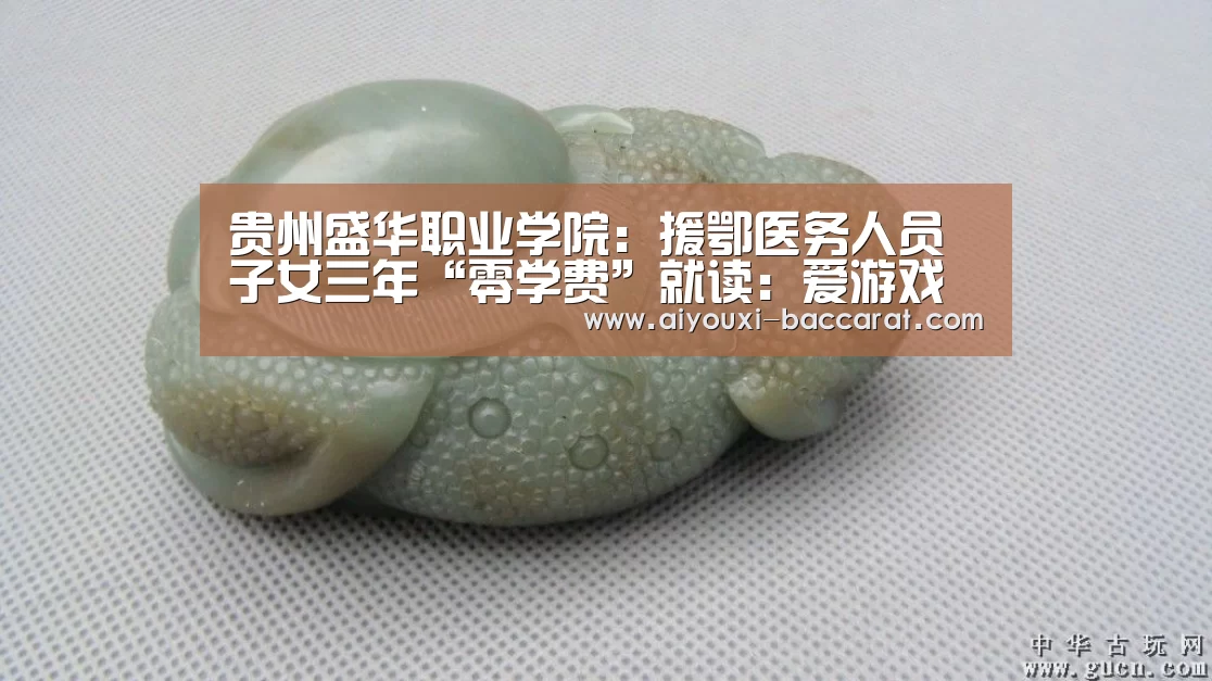 贵州盛华职业学院:援鄂医务人员子女三年“零学费”就读:爱游戏电竞赛事(图1) 爱游戏电竞直播