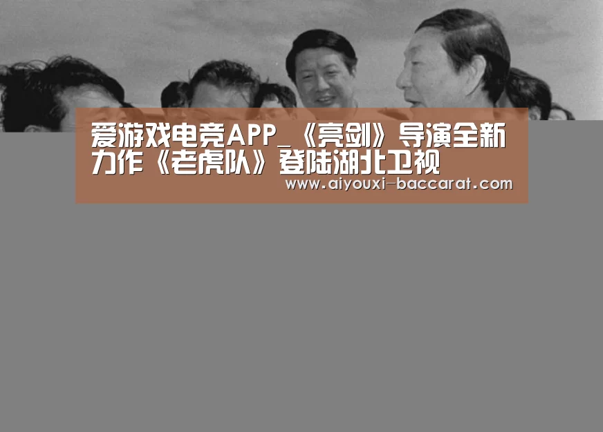 爱游戏电竞APP_《亮剑》导演全新力作《老虎队》登陆湖北卫视(图1) 爱游戏电竞平台