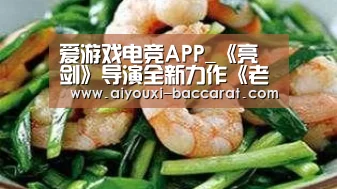 爱游戏电竞APP_《亮剑》导演全新力作《老虎队》登陆湖北卫视(图3) 爱游戏电竞直播