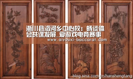 淅川县滔河乡中心校:畅谈体会共谋发展_爱游戏电竞赛事(图2) 爱游戏电竞APP