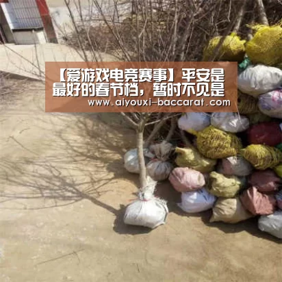 【爱游戏电竞赛事】平安是最好的春节档,暂时不见是为了更好的相见(图1) 爱游戏电竞APP