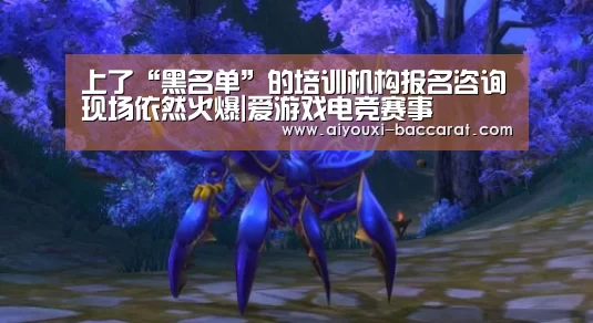 上了“黑名单”的培训机构报名咨询现场依然火爆|爱游戏电竞赛事(图1) 爱游戏电竞赛事